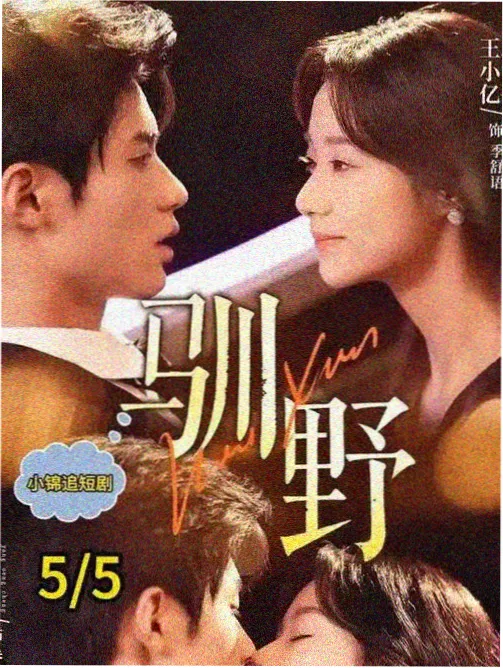 转让北街照相馆海报